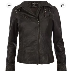 All Saints Belvedere leather jacket US 8 UK 12 chocolate brown